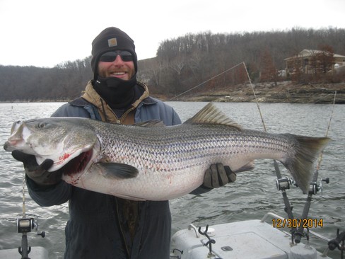 Nice Striped Bass